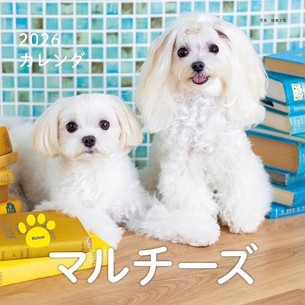 Wan 2025年 7月号＜夏号＞(特集：やっぱりマルが最強カワイイ！)[雑誌